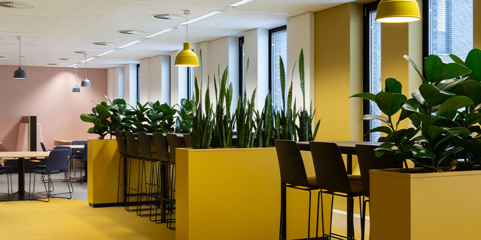 testimonial background