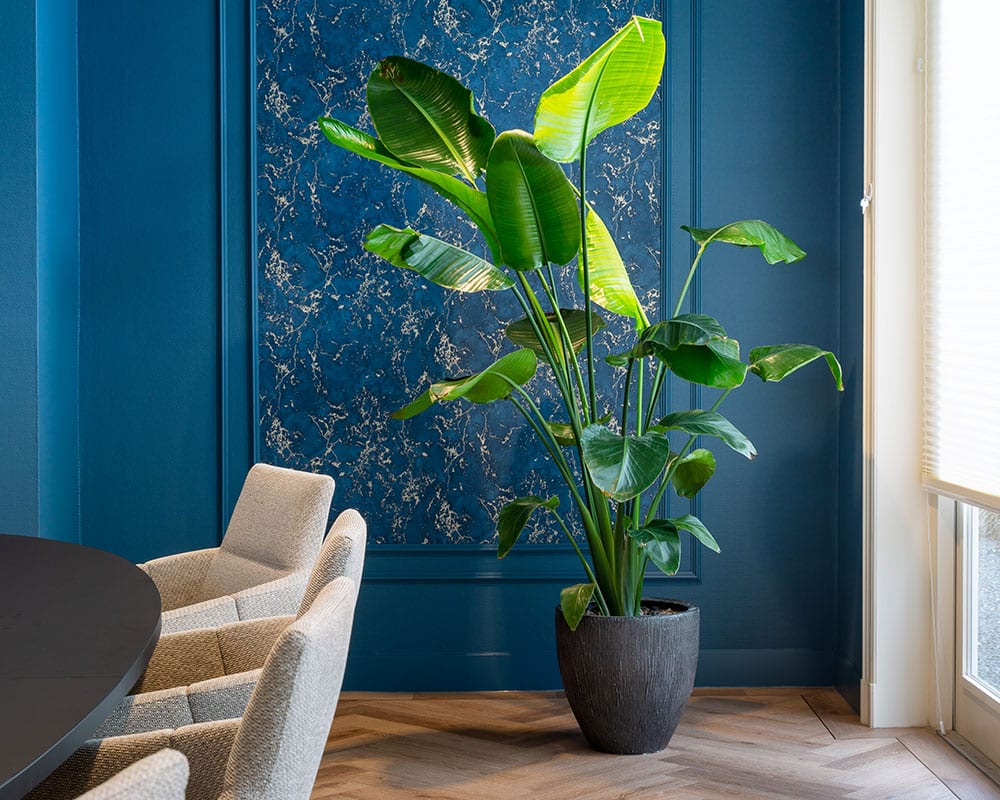 Projectinrichting in Gelderland