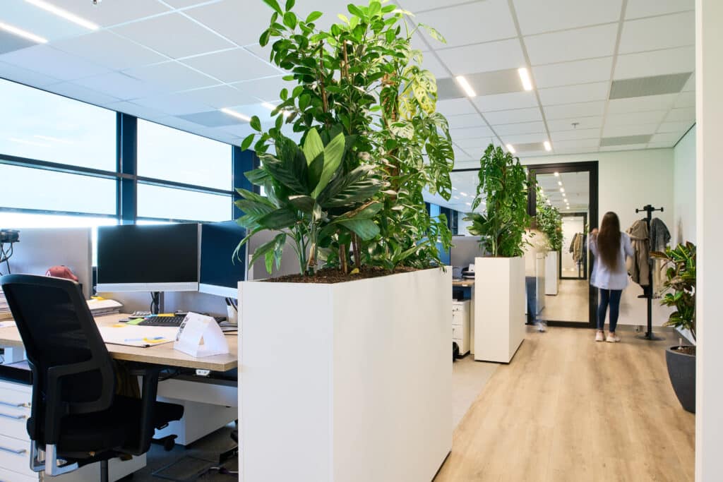 Ideale kantoortemperatuur